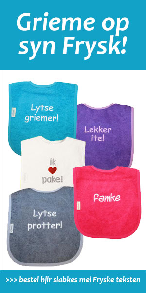 Voorbeeld-Lytse-banner-slabkes