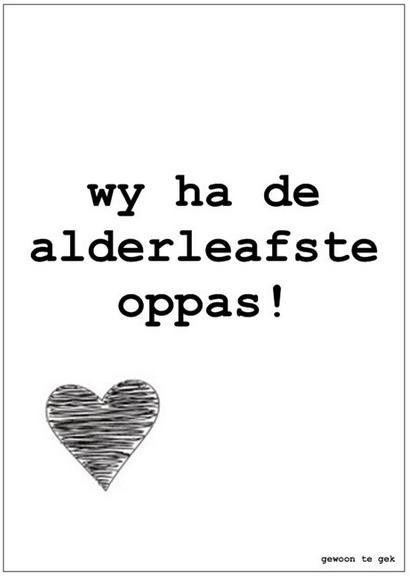 wy_ha_de_alderleafste_oppas