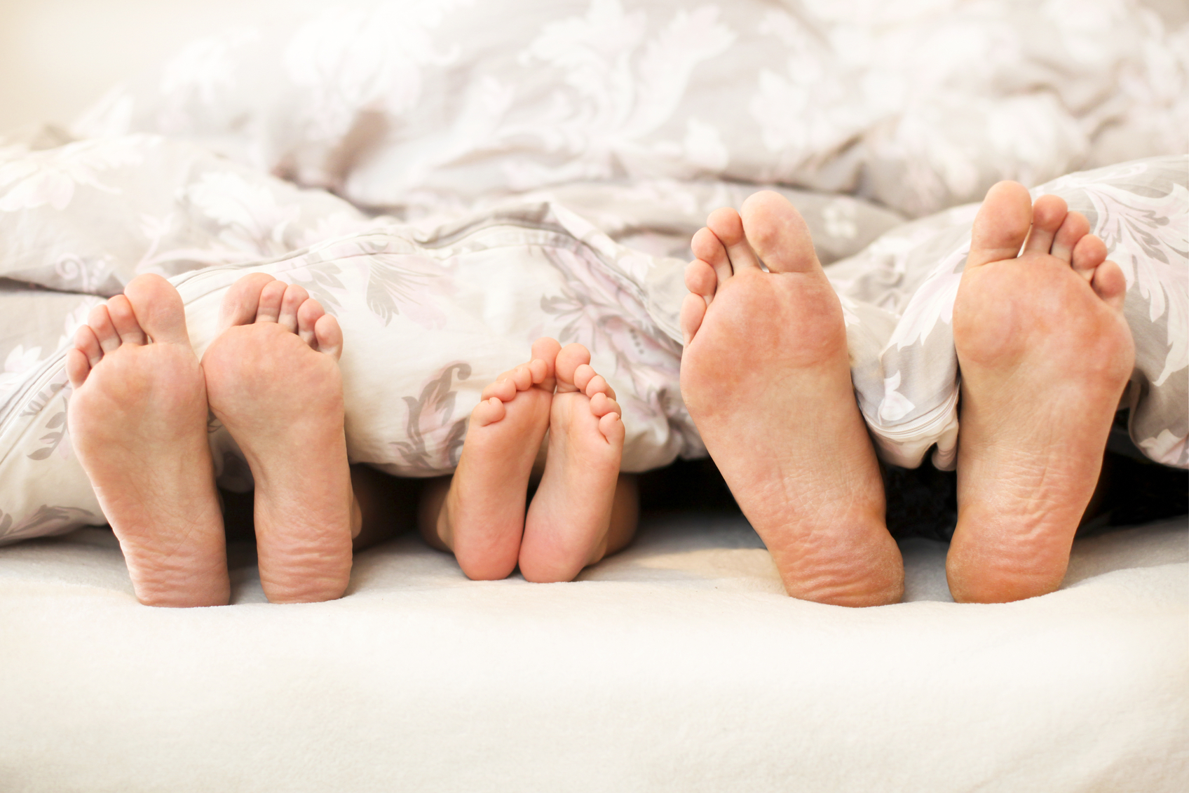 Three pairs of feet - two parent family with one child in bed under blanket. Caucasian people, unrecognizable.