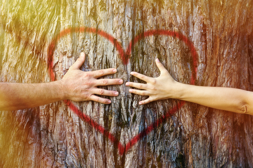 Hands of couple in love hugging a tree with painted red heart with yellow and golden sunlight